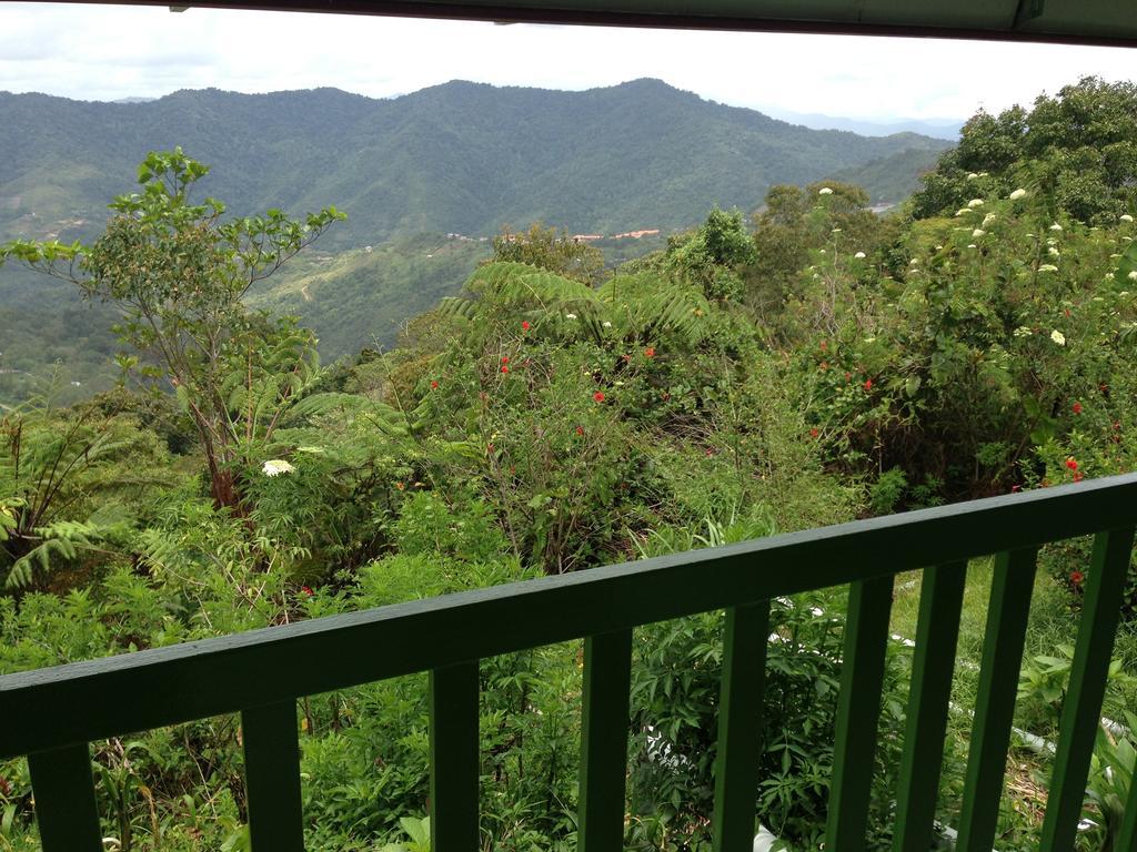 D'Villa Rina Ria Lodge, Kinabalu Park, Kundasang Bundu Tuhan Bagian luar foto