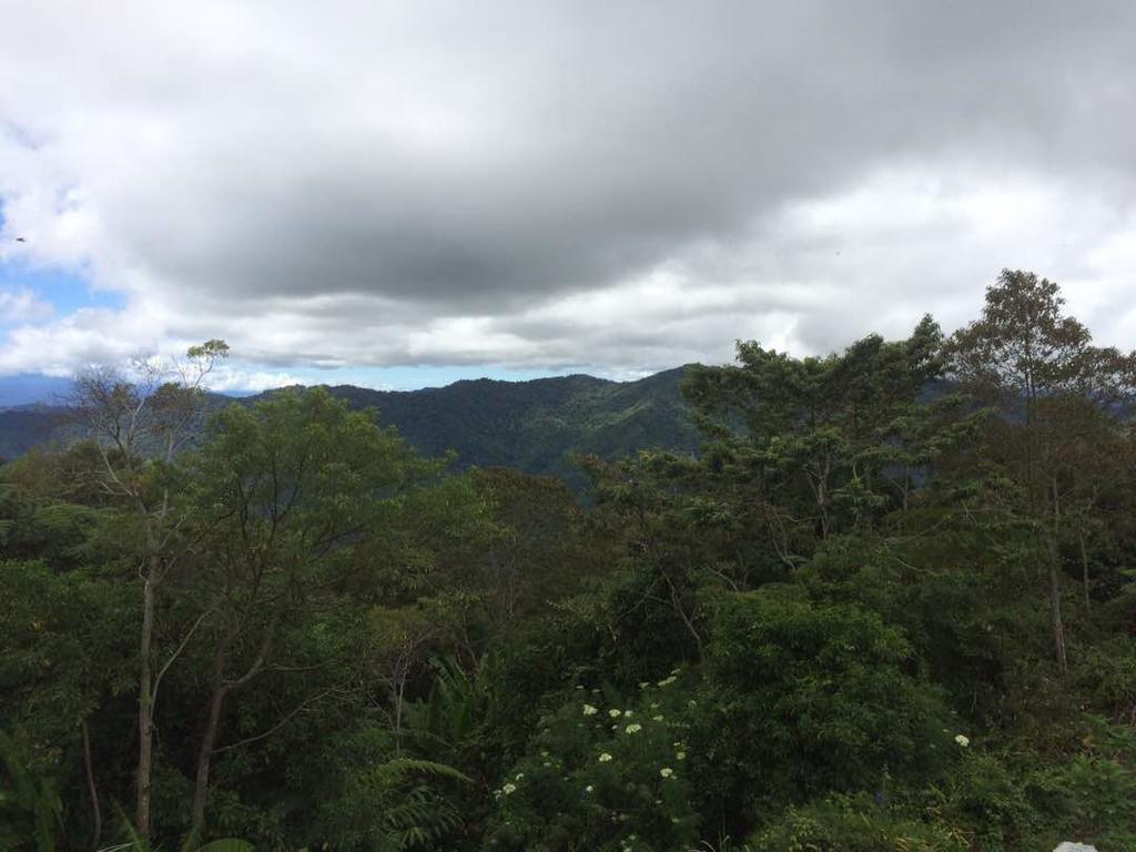 D'Villa Rina Ria Lodge, Kinabalu Park, Kundasang Bundu Tuhan Bagian luar foto