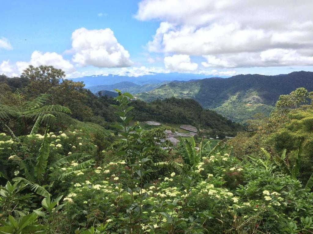 D'Villa Rina Ria Lodge, Kinabalu Park, Kundasang Bundu Tuhan Bagian luar foto