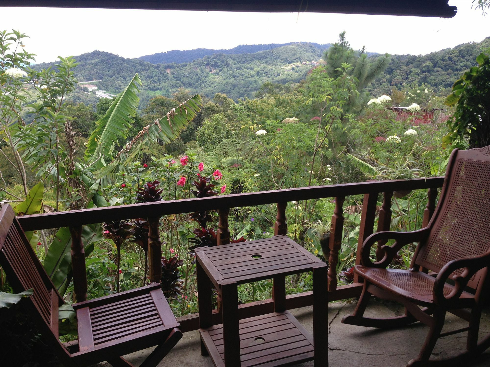 D'Villa Rina Ria Lodge, Kinabalu Park, Kundasang Bundu Tuhan Bagian luar foto
